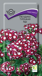 Гвоздика Турецкая Лара, 0,3 г