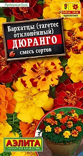 Бархатцы Дюранго, смесь окрасок, 7 шт.