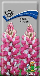 Люпин Чателайн, 1 г