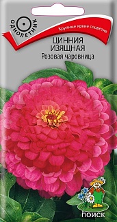 Цинния изящная Розовая чаровница, 0,3 г