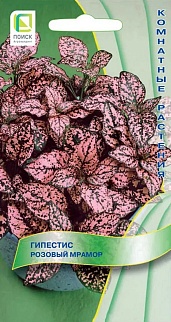 Гипестис Розовый мрамор, 7 шт. Комнатные растения