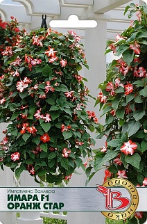 Бальзамин Импатиенс Валлера Имара F1 Оранж Старт, 8шт. Биотехника