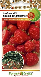 Земляника F1 Домашний деликатес, 10 шт. Русский огород
