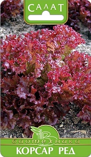 Салат Корсар Ред, 0,5 г Биотехника