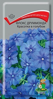 Флокс друммонда Красотка в голубом, 0,1 г