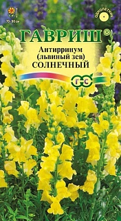 Львиный зев Солнечный, 0,1 г