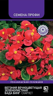 Бегония вечноцветущая зеленолистная Бада Бинг Скарлет, 15 шт. Семена профи