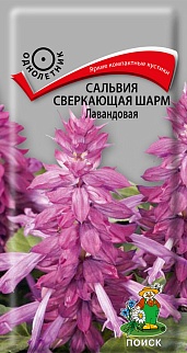 Сальвия сверкающая Шарм Лавандовая, 0,2 г