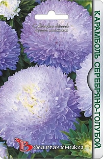 Астра китайская Карамболь Серебряно-голубой, 40 шт. Биотехника