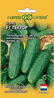 Огурец Гектор F1 10 шт. Голландия.