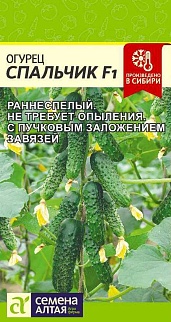 Огурец Спальчик F1, 5 шт.