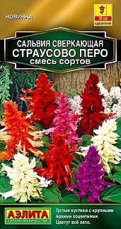 Сальвия Страусово перо, смесь сортов 0,1 г
