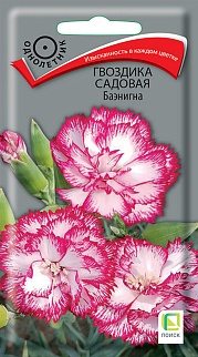 Гвоздика садовая Баэнигна, 0,1 г
