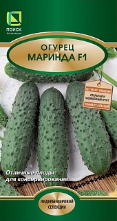 Огурец Маринда F1, 12 шт. Поиск