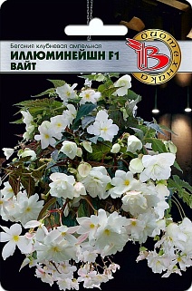 Бегония клубневая ампельная Иллюминейшн F1 Вайт, 8 шт.  Биотехника