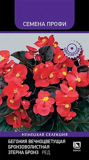 Бегония вечноцветущая бронзоволистная Этерна Бронз Ред, 10шт. Семена Профи