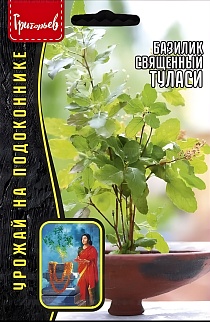 Базилик Туласи священный 1 г