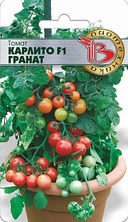 Томат Карлито F1 Гранат, 5 шт. Биотехника