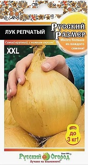 Лук репчатый Русский размер, 100 шт. Русский огород