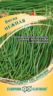 Вигна Нежная, 10 шт. Авторские семена.