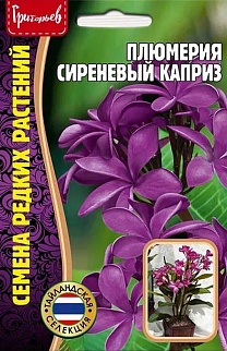 Плюмерия Сиреневый Каприз (франжипани), 3 шт.