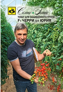 Томат Черри от Юрия F1, 5 шт.