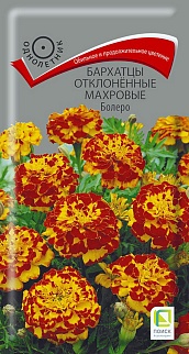 Бархатцы отклоненные махровые Болеро, 0,4 г