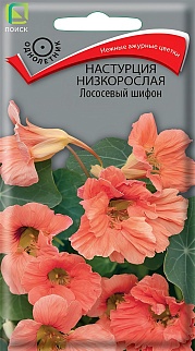 Настурция низкорослая Лососевый шифон, 1 г.