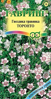 Гвоздика травянка Торонто, 0,05 г. Альпийская горка.