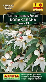 Бегония боливийская Копакабана F1, белая, 5 шт.