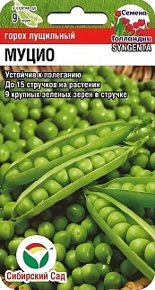 Горох Муцио, 4 г. Семена Голландии.