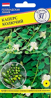 Каперс колючий, 3 шт.