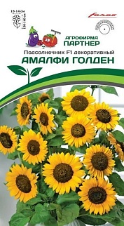 Подсолнечник декоративный Амалфи голден F1, 10 шт. Агрофирма Партнер.