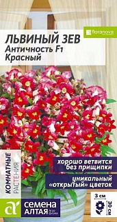 Львиный зев Античность Красный, 10 шт.