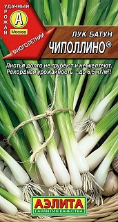 Лук батун Чиполлино, 0,5 г