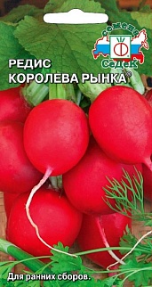 Редис Королева рынка, 3 г