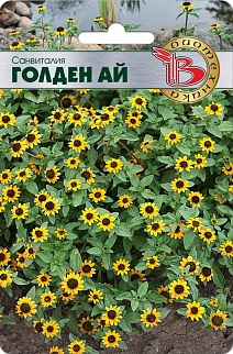 Санвиталия Голден Ай, 80 шт. Биотехника