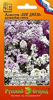 Алиссум Биг Джем, 30 шт. Сибирский сад
