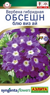 Вербена Обсешн блю виз ай, 5 шт.