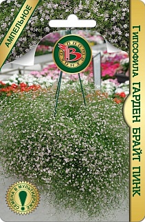 Гипсофила Гарден брайт Пинк, ампельное, 4 шт. Биотехника