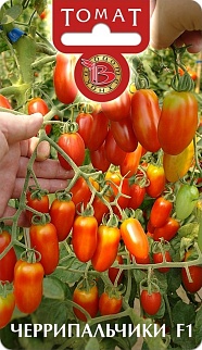 Томат Черрипальчики F1, 25 шт. Биотехника