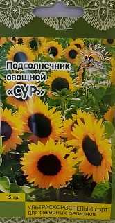 Подсолнечник Сур на зерно, 5 г. Лето.