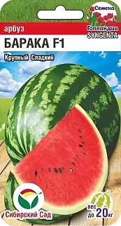 Арбуз Барака F1, 3 шт. Сибирский сад.