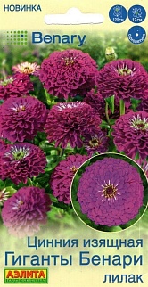 Цинния Гиганты Бенари лилак, 7 шт.