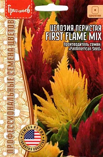 Целозия First Flame Mix (Первое пламя микс) перистая, 4 шт.