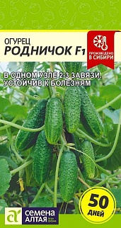 Огурец Родничок F1, 0,3 г