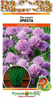 Лук Шнитт Эректа (Вкуснятина), 0,5 г Русский огород