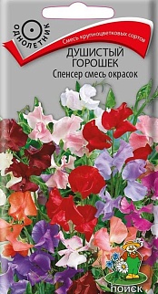 Душистый горошек Спенсер Смесь окрасок, 2 г