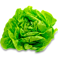 Салат
