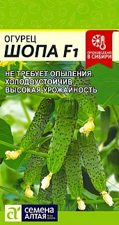 Огурец Шопа F1, 5 шт.